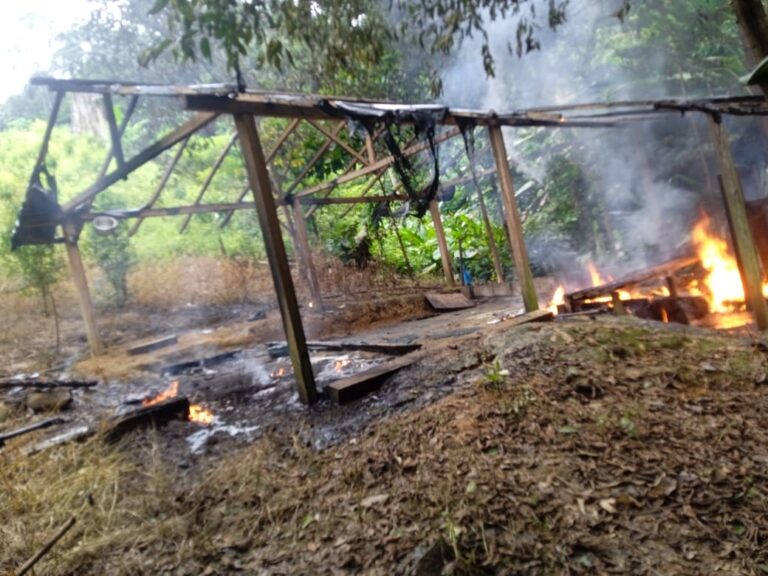 Ejército destruyó mega laboratorios del Clan del Golfo en Antioquia