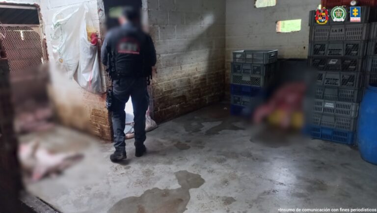 Fiscalía imputó a hombre capturado en un matadero clandestino