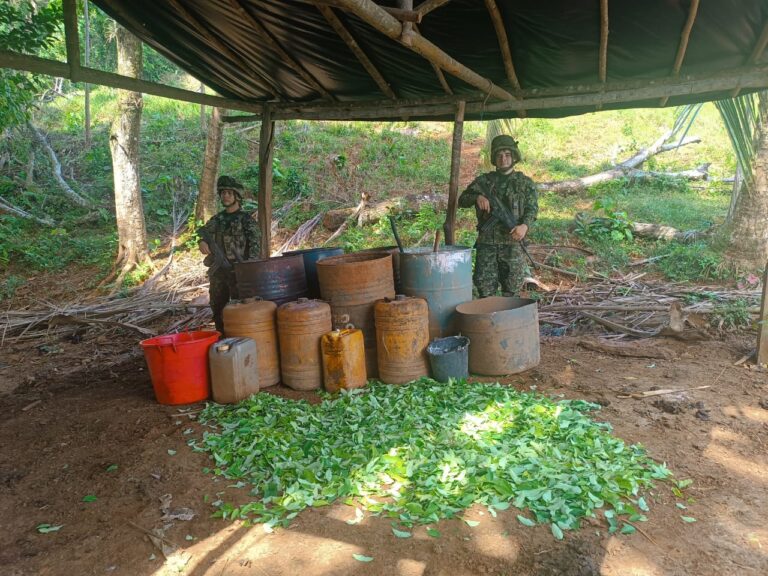 Fuerzas Militares dejan fuera de operación seis laboratorios de cocaína