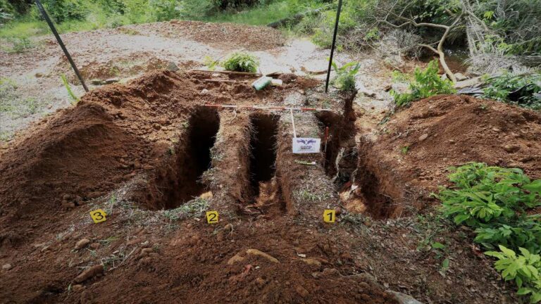 UBPD recuperó dos cuerpos durante intervención en el cementerio de Zaragoza