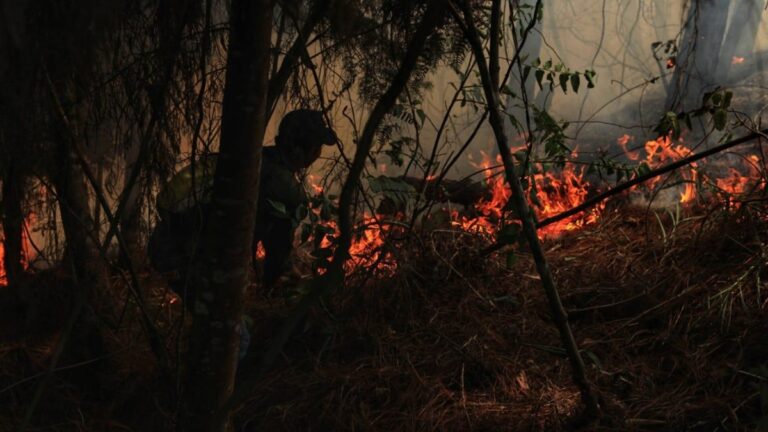 Alerta ambiental en Colombia con 26 incendios forestales activos