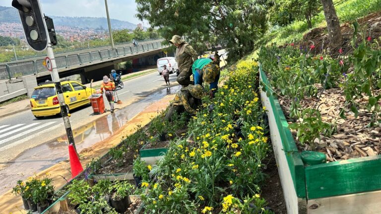 Medellín: Anuncian plan para recuperar 70 puntos críticos de residuos