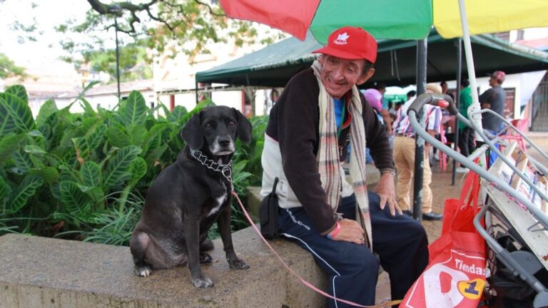 Unos 20 mil animales domésticos serán esterilizados en Antioquia