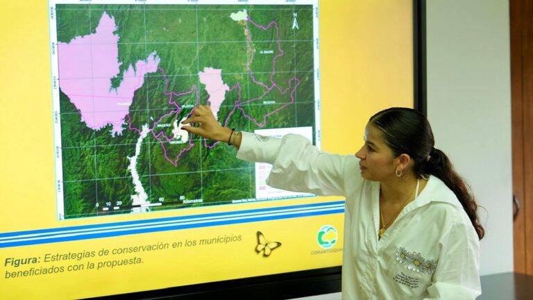 Antioquia: Proyecto para recuperar zonas afectadas por la minería ilegal