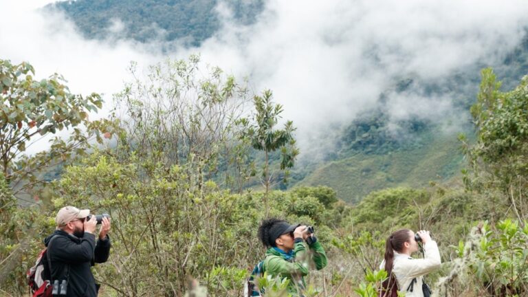 Jardín Botánico de Medellín: finalista para los premios del Fondo Europeo