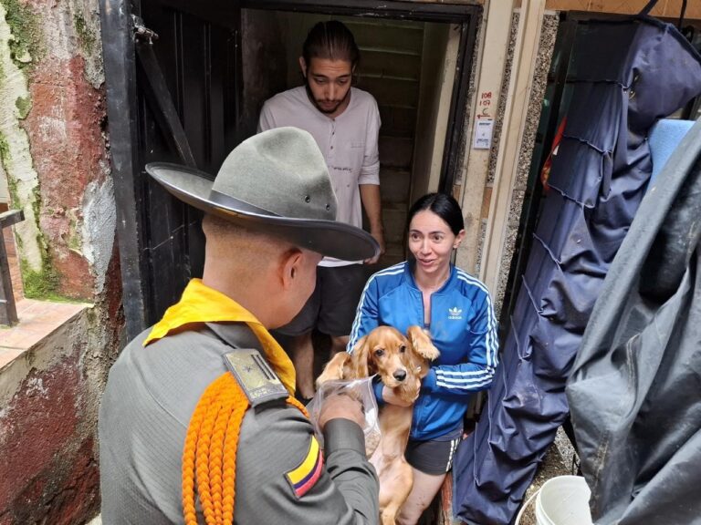 Medellín: Se atendieron a más de 230 animalitos afectados por la emergencia