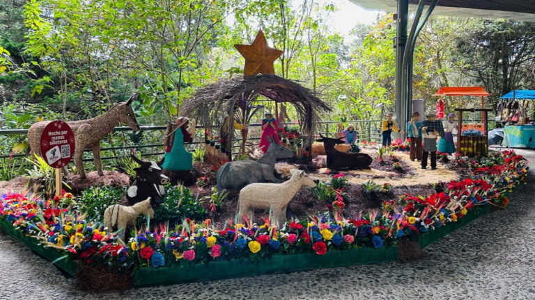 Medellín: Visitar el Parque Arví, un “parche” imperdible para esta Navidad