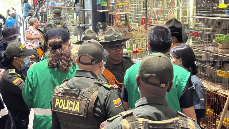 Rescataron 46 animales en la Plaza Minorista Medellín