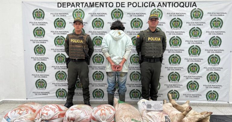 Noticias Antioquia: Incautación carne en mal estado en Entrerríos