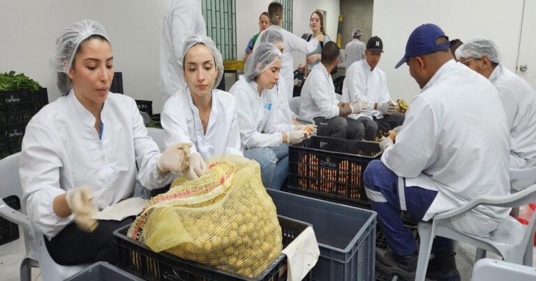 Noticias Medellín: Recuperaron más de 77 toneladas de alimentos en plazas